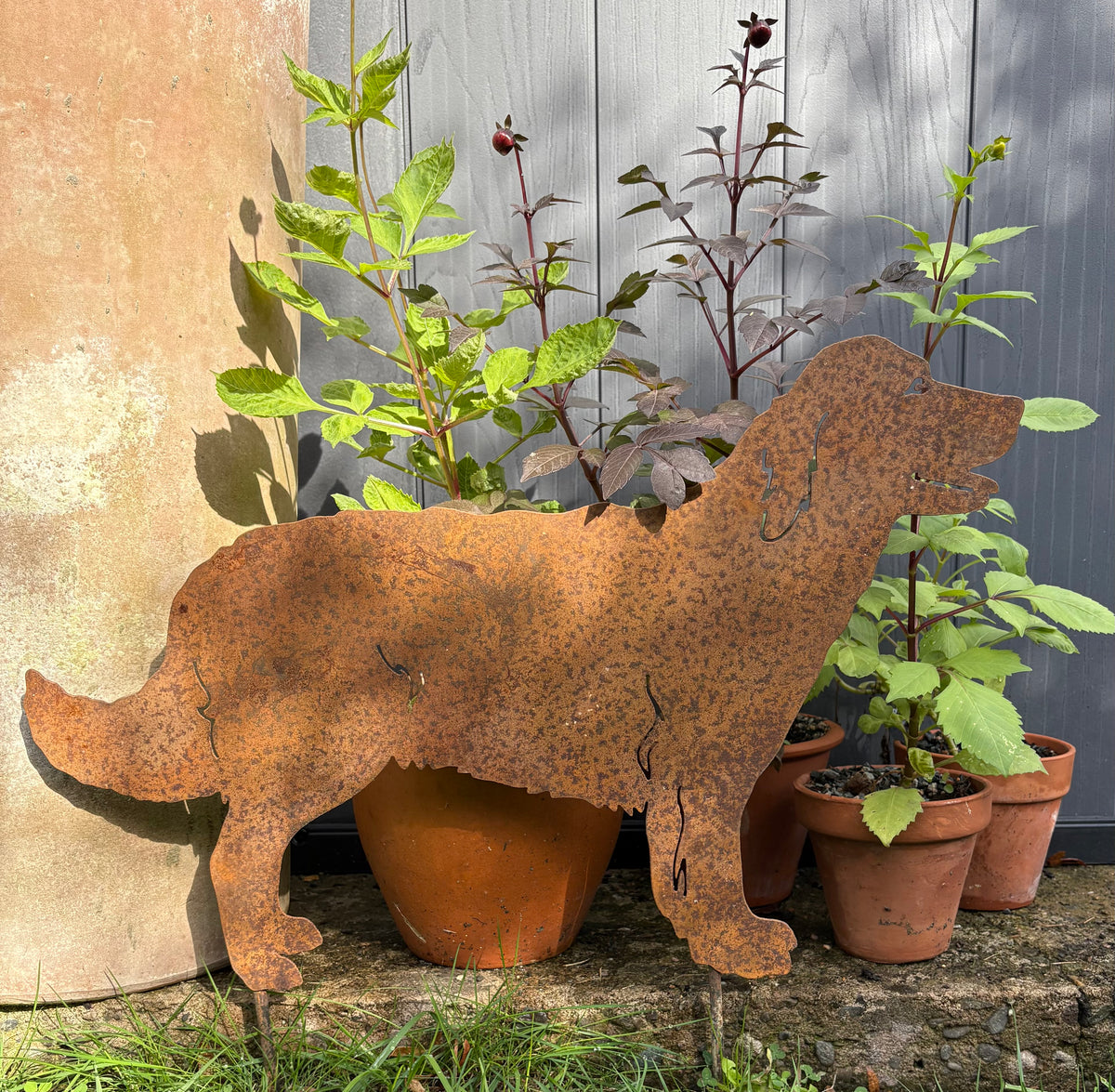 Garden Silhouette of a Labrador
