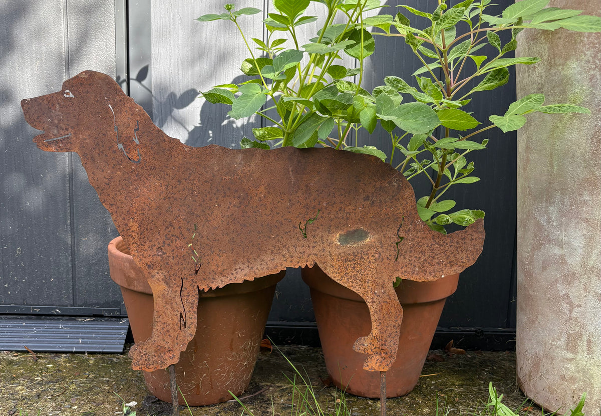 Garden Silhouette of a Labrador