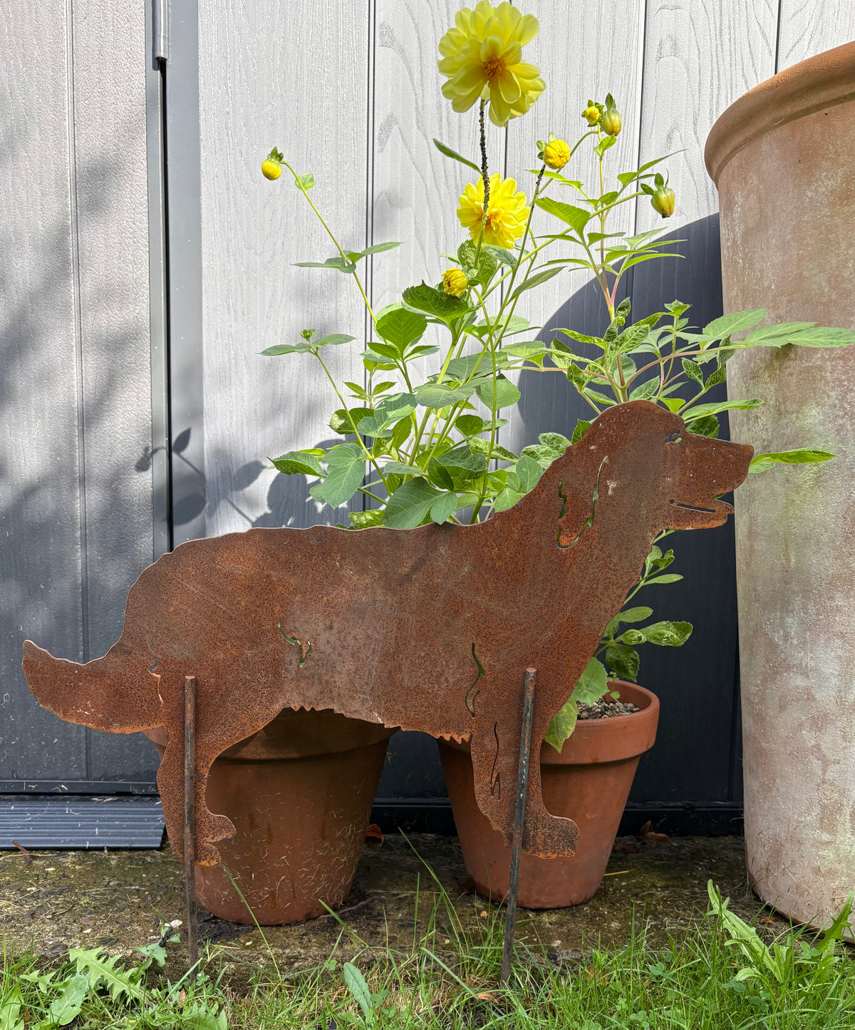 Garden Silhouette of a Labrador