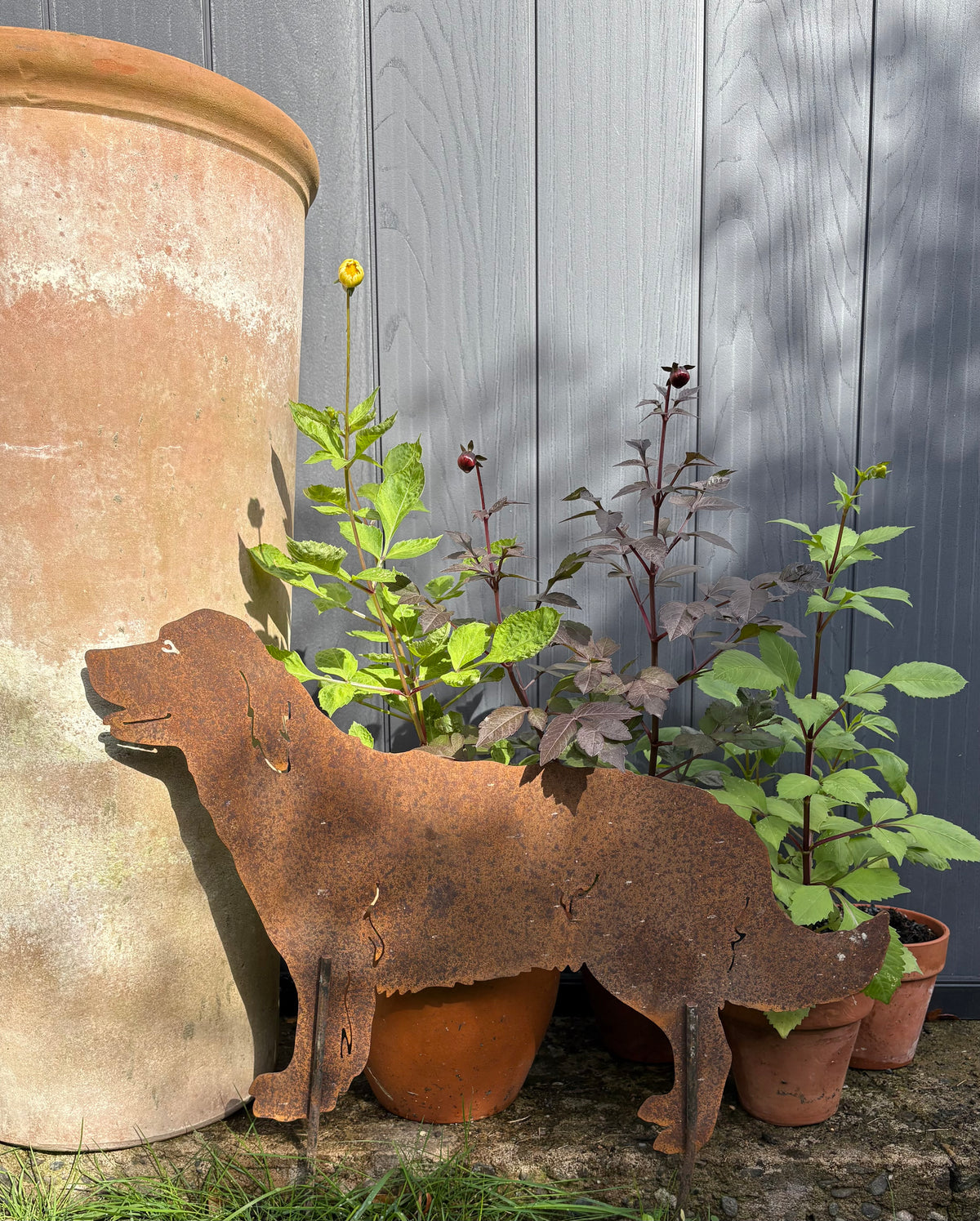 Garden Silhouette of a Labrador