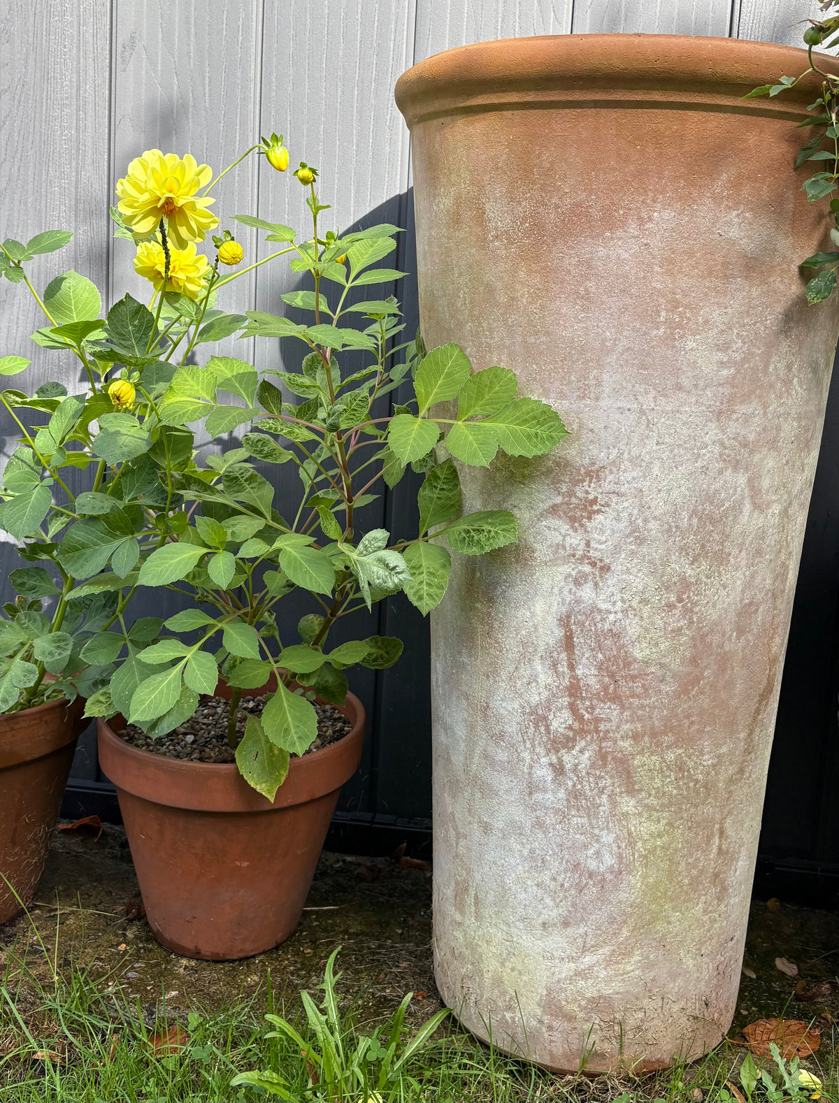 Pair of Italian Terracotta Tall Tapered Garden Plant Pots