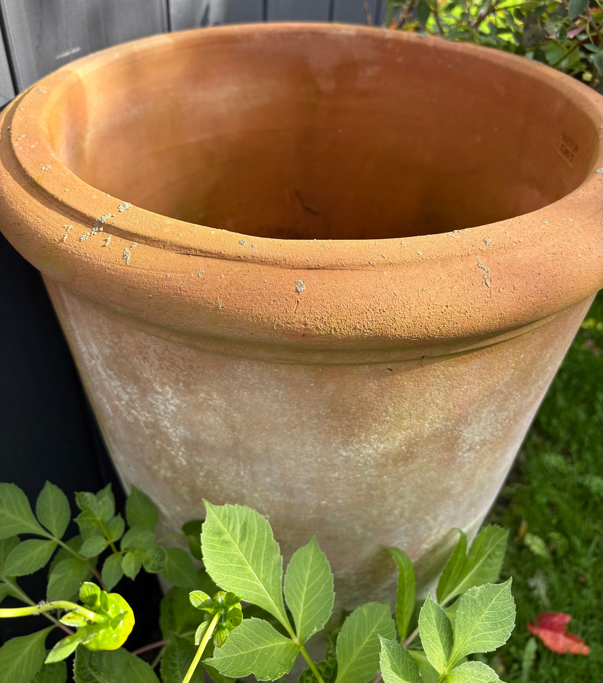 Pair of Italian Terracotta Tall Tapered Garden Plant Pots