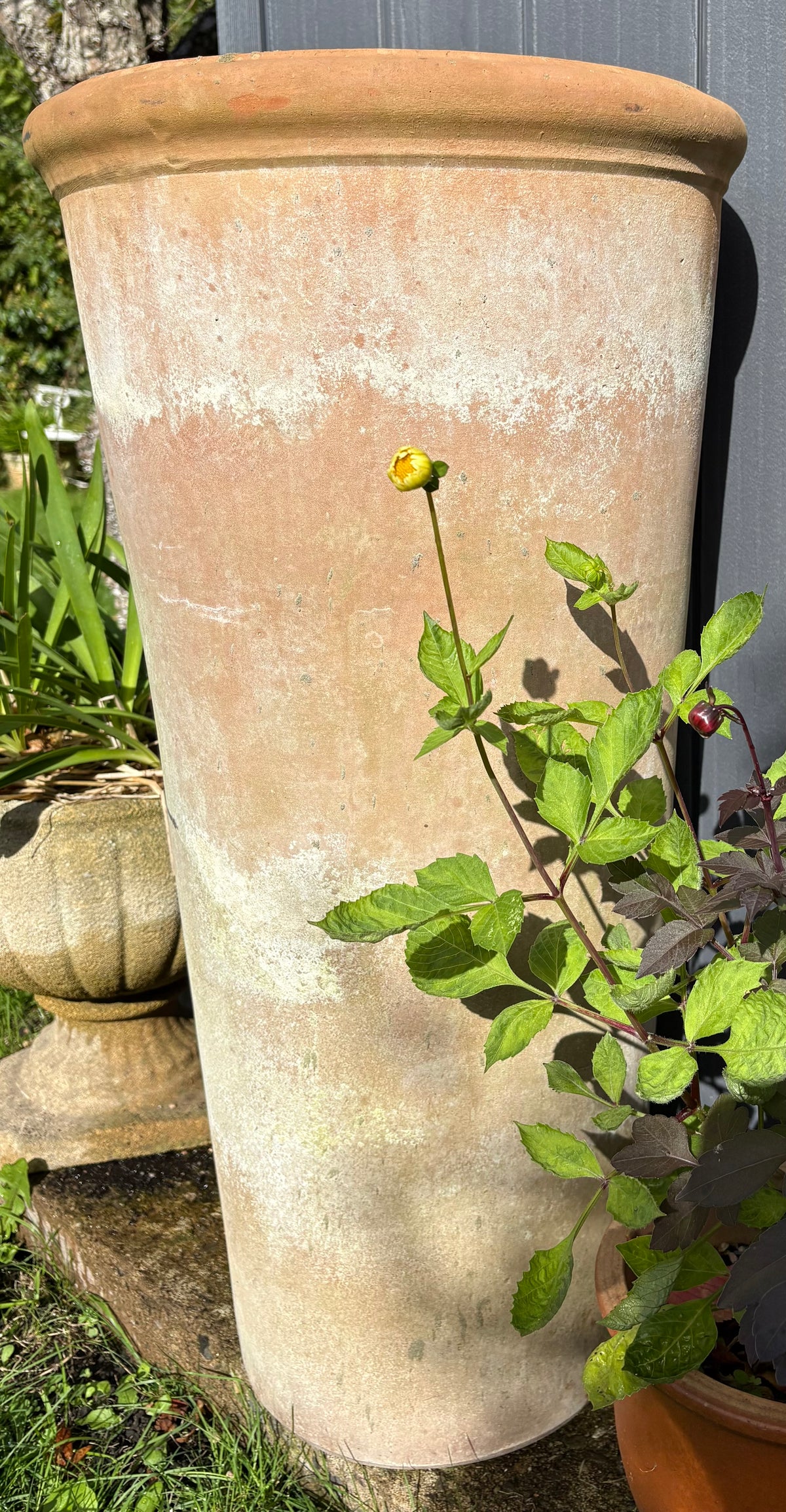Pair of Italian Terracotta Tall Tapered Garden Plant Pots