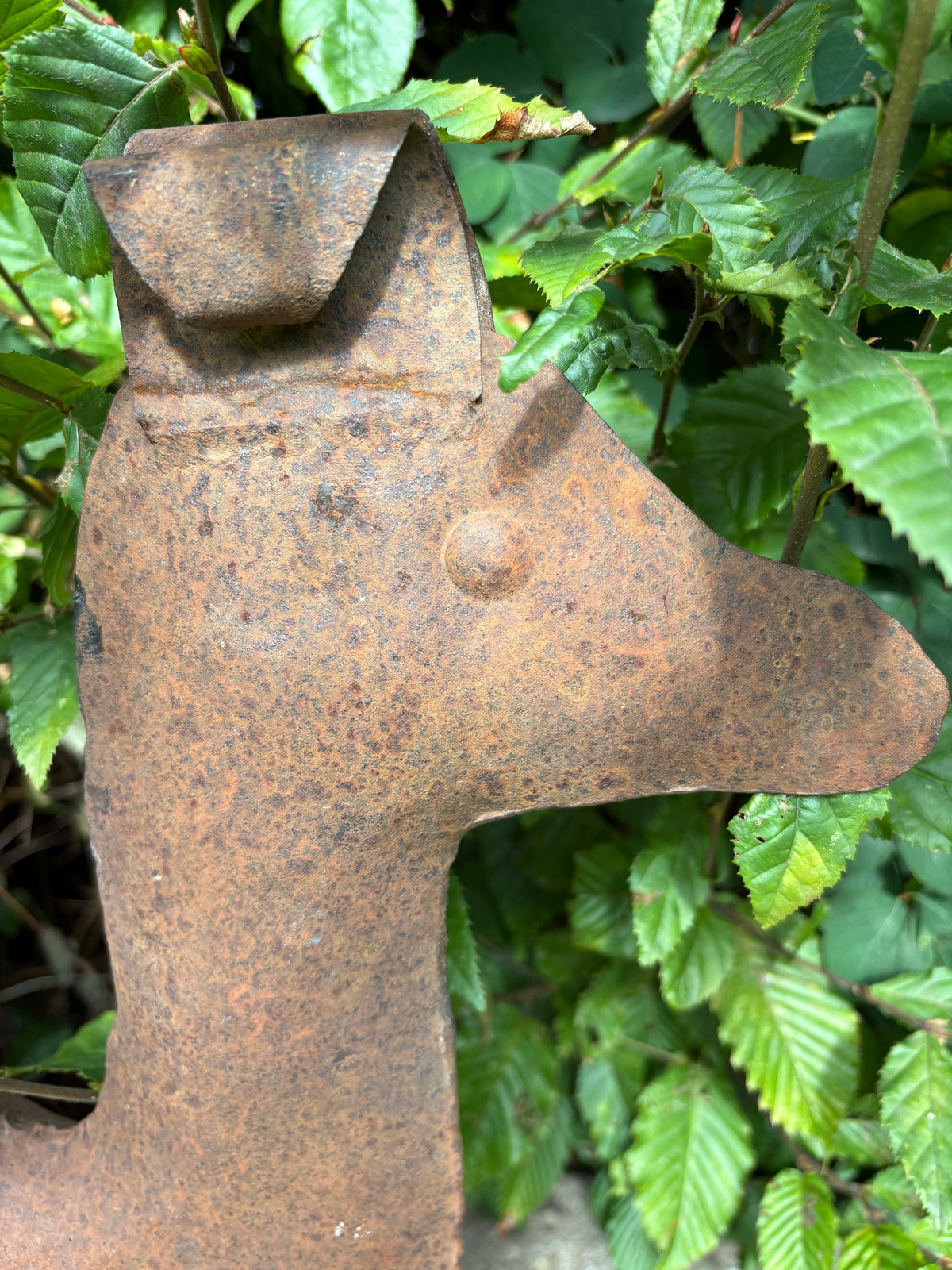 A Camel with Character - Vintage Sheet Metal Sculpture of a Camel